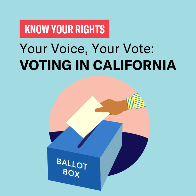 icon for voting rights know your rights guide