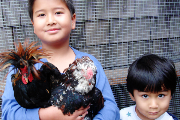 Photo c/o Abdi Soltani