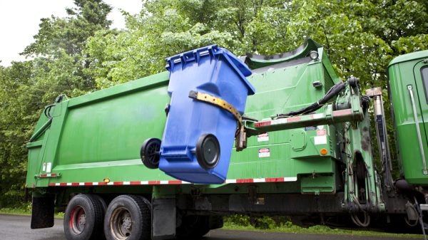 A garbage truck on a tree-lined street.