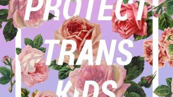 'Protect Trans Kids' source: https://www.instagram.com/p/BQ3U-3zBGzW/?taken-by=chantelhouston