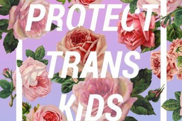 'Protect Trans Kids' source: https://www.instagram.com/p/BQ3U-3zBGzW/?taken-by=chantelhouston