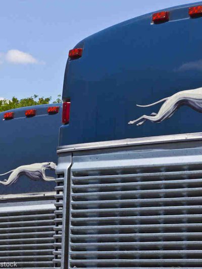 shutterstock image of greyhound buses