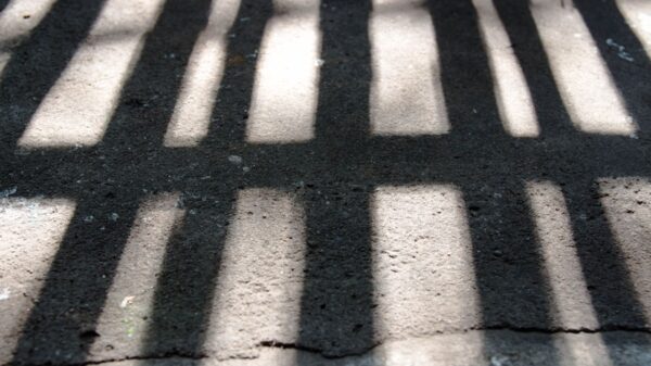 shadow of prison bars on the floor