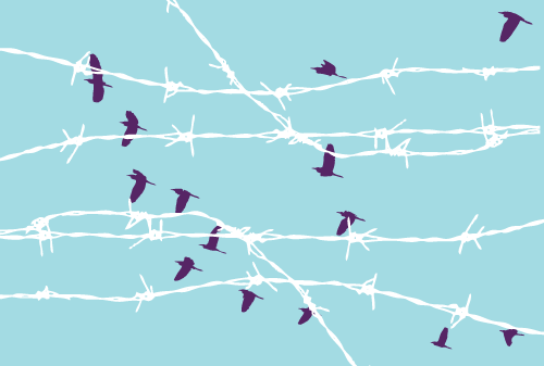 birds behind barbed wire