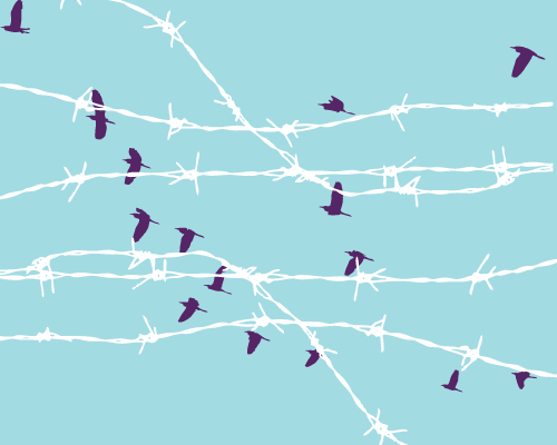 birds behind barbed wire