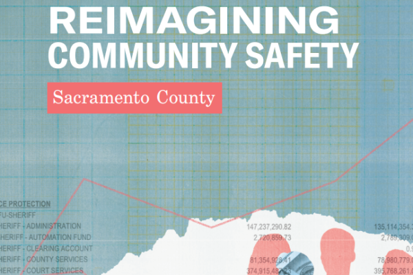 Report cover showing graphic of sheriff's budget line items