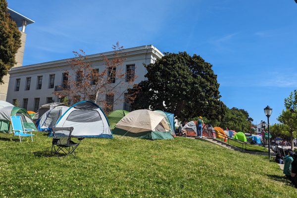Protestor tents on UC Berkeley campus