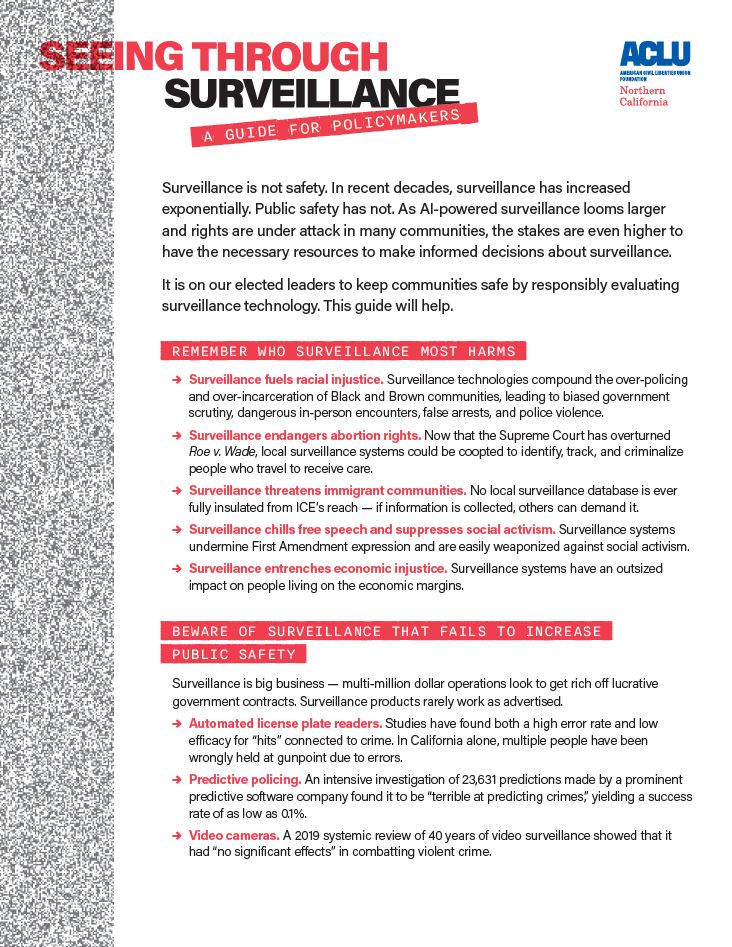 Screenshot of Seeing Through Surveillance One Pager