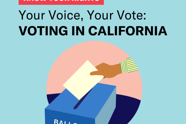 Graphic for "Your Voice, Your Vote" with hand putting ballot in ballot box