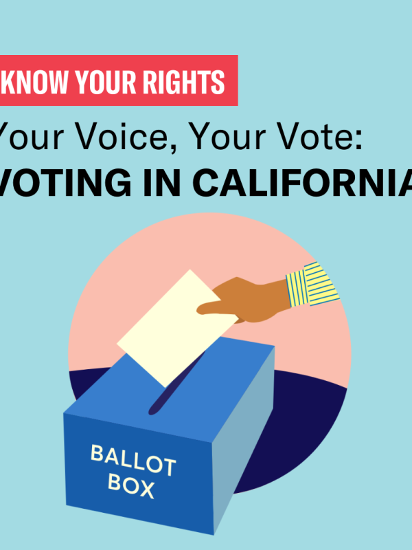 Graphic for "Your Voice, Your Vote" with hand putting ballot in ballot box
