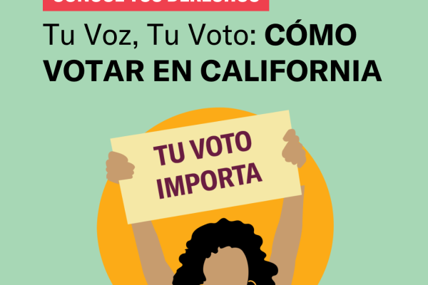 Graphic for "Tu Voz, Tu Voto"