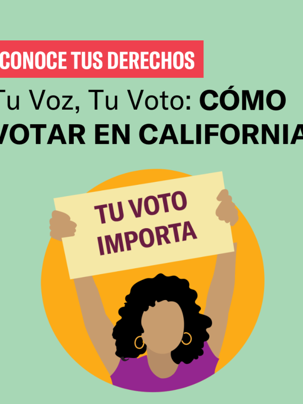 Graphic for "Tu Voz, Tu Voto"