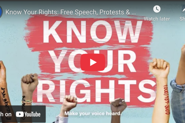 screenshot of protest know your rights video