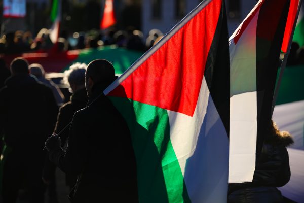 protestors carrying palestinian flags