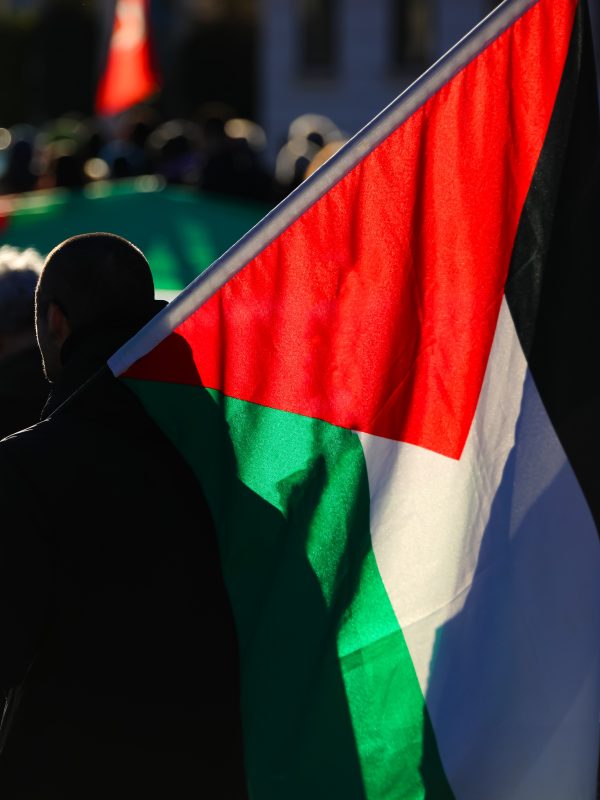 protestors carrying palestinian flags