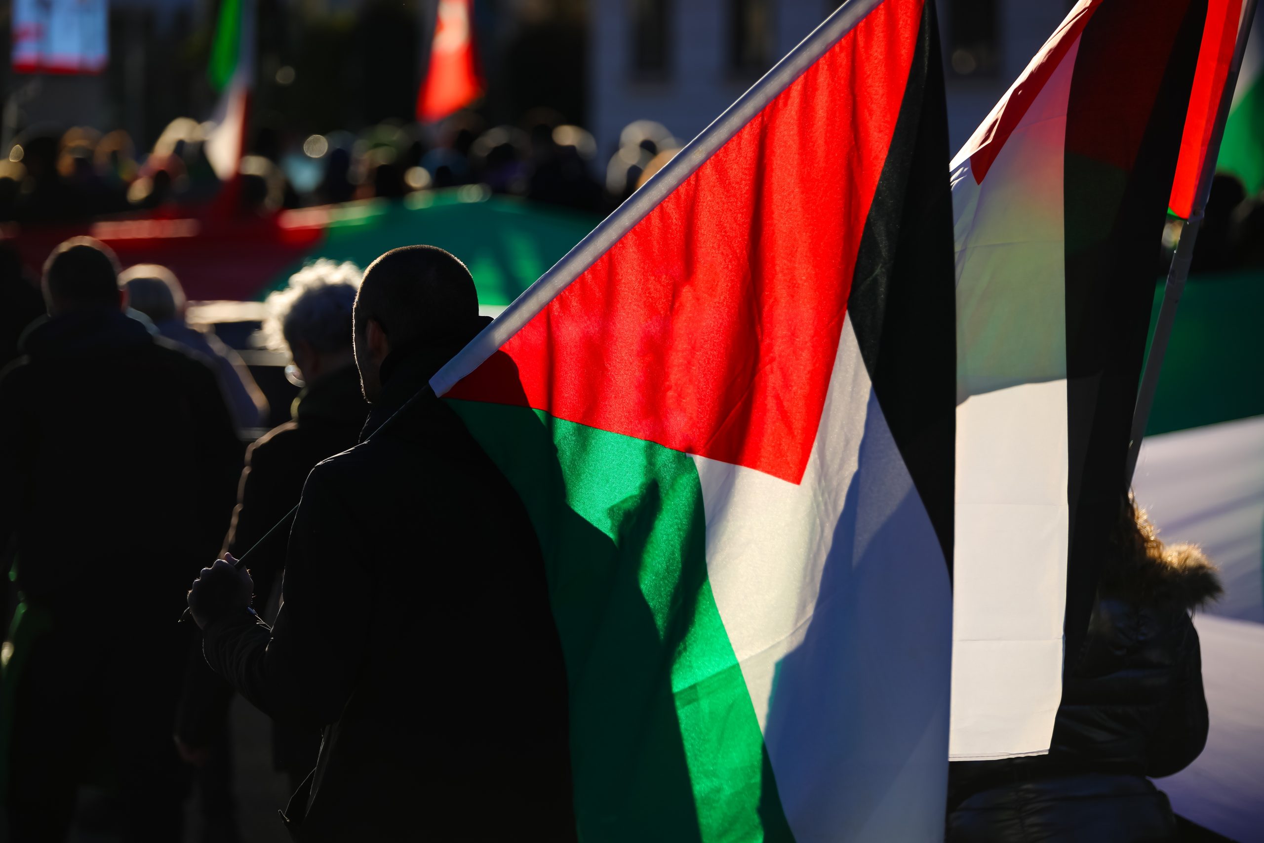 protestors carrying palestinian flags