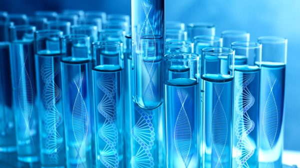 Test tubes with different illustrations of DNA in laboratory, closeup