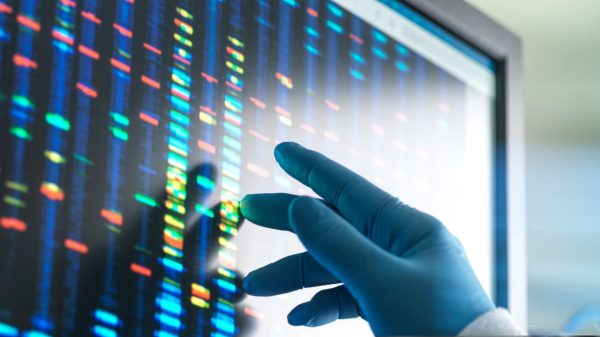 Scientist examining DNA profiles after analytical testing in the lab on a screen monitor