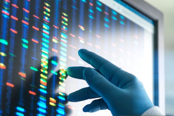 Scientist examining DNA profiles after analytical testing in the lab on a screen monitor