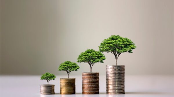 Stacks of coins of increasing height, with small trees growing out of them