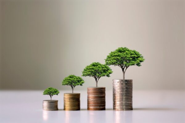 Stacks of coins of increasing height, with small trees growing out of them