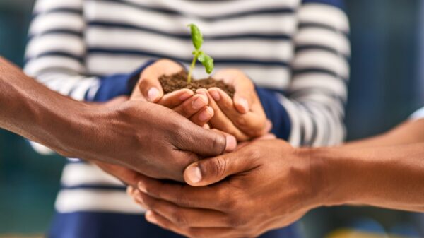 Hands overlapping and holding a budding plant