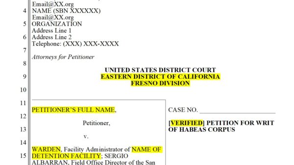 screenshot of a template habeas petition