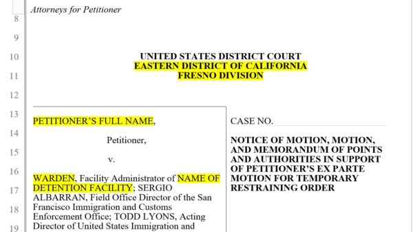 temporary restraining order template screenshot