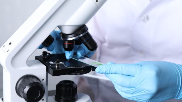 A person wearing blue medical gloves places a glass slide beneath the objective lens on a microscope