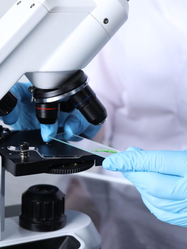 A person wearing blue medical gloves places a glass slide beneath the objective lens on a microscope