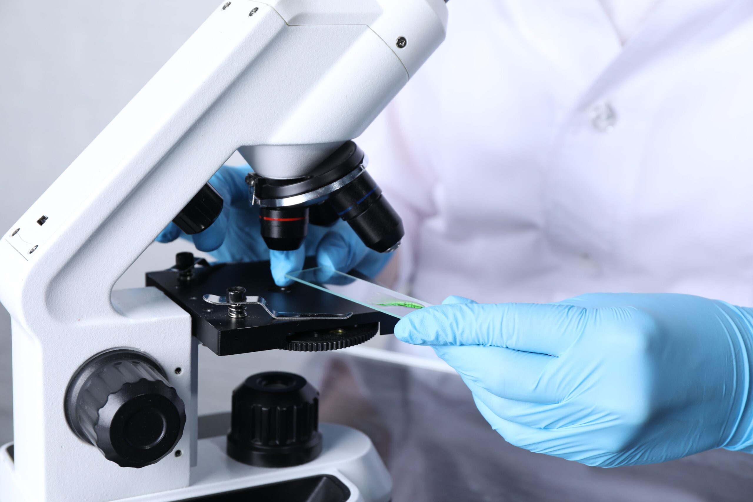 A person wearing blue medical gloves places a glass slide beneath the objective lens on a microscope